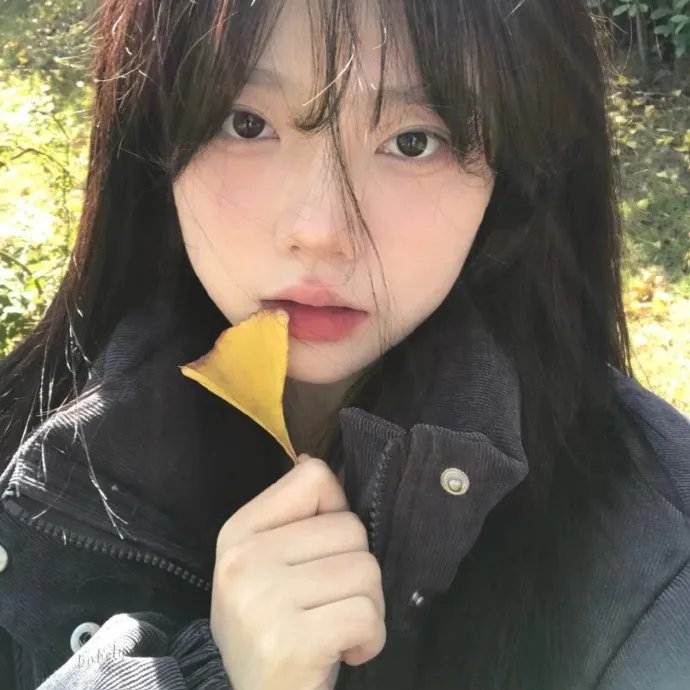 白龙马